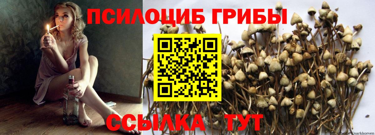 Галлюциногенные грибы Magic Shrooms  Вход с VPN  Топки  Псилоцибиновые грибы Magic Shrooms 