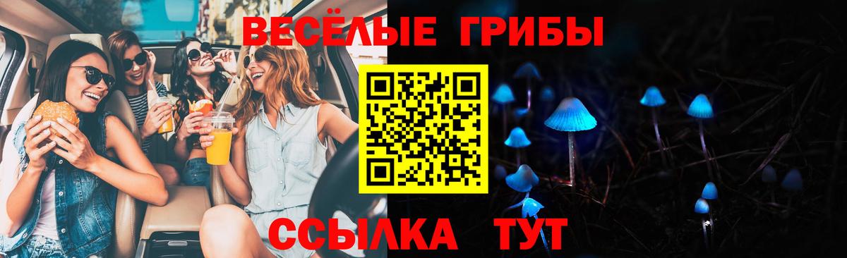 Псилоцибиновые грибы GOLDEN TEACHER Топки