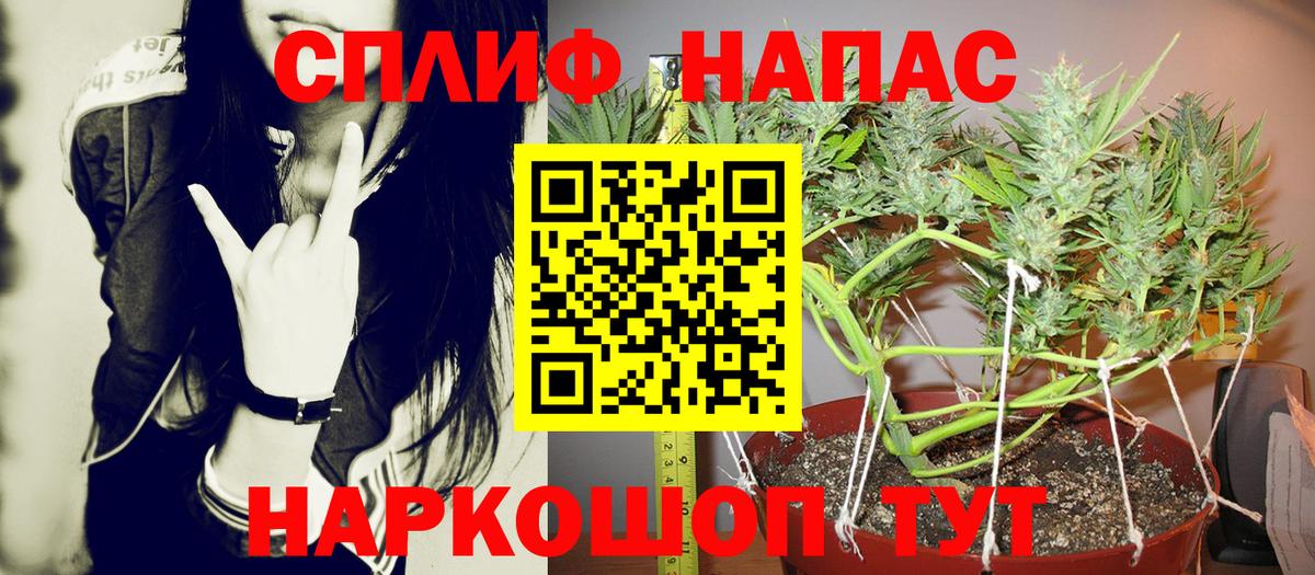 Бошки марихуана SATIVA & INDICA  Топки  Марихуана сатива  Бошки марихуана индика 